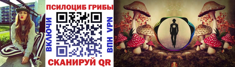 ссылка на мегу маркетплейс Вятские Поляны Псилоцибиновые грибы ЛСД