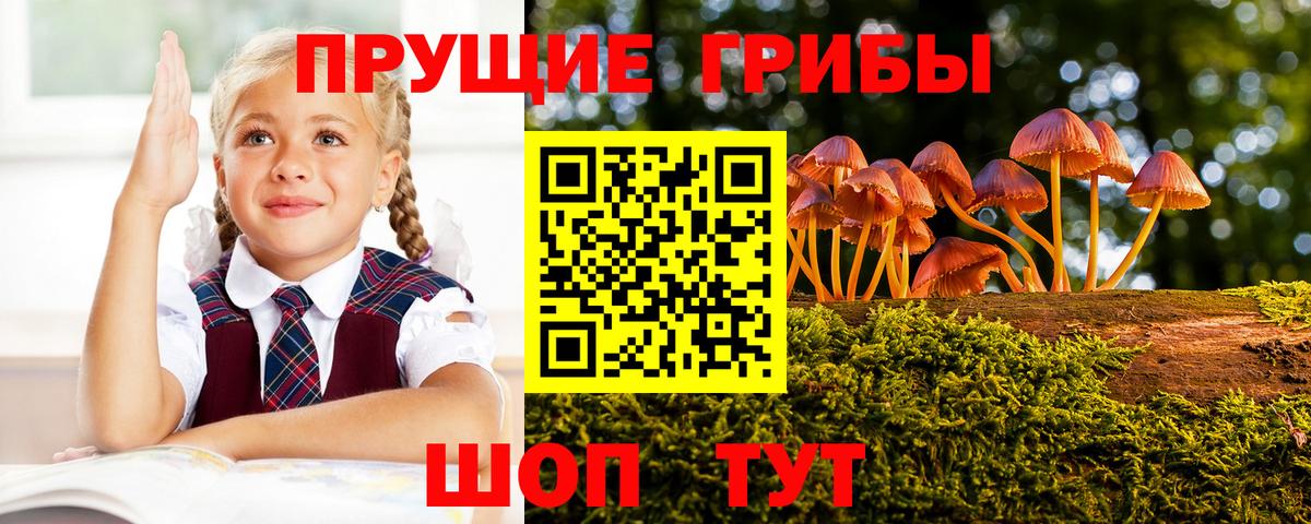 Псилоцибиновые грибы мицелий  Псилоцибиновые грибы Psilocybine cubensis  Вход с VPN  Вятские Поляны 